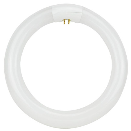 Lampe loupe lumineuse "Circline"