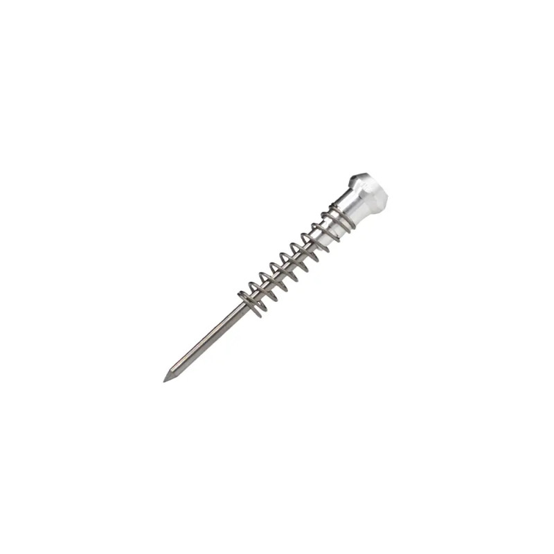Pointe et ressort de rechange pour graveur pneumatique Pointe et ressort de rechange pour graveur pneumatique
