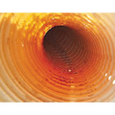 Endoscope avec écran 2,4"