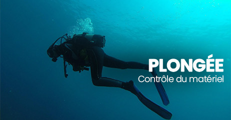 Plongée